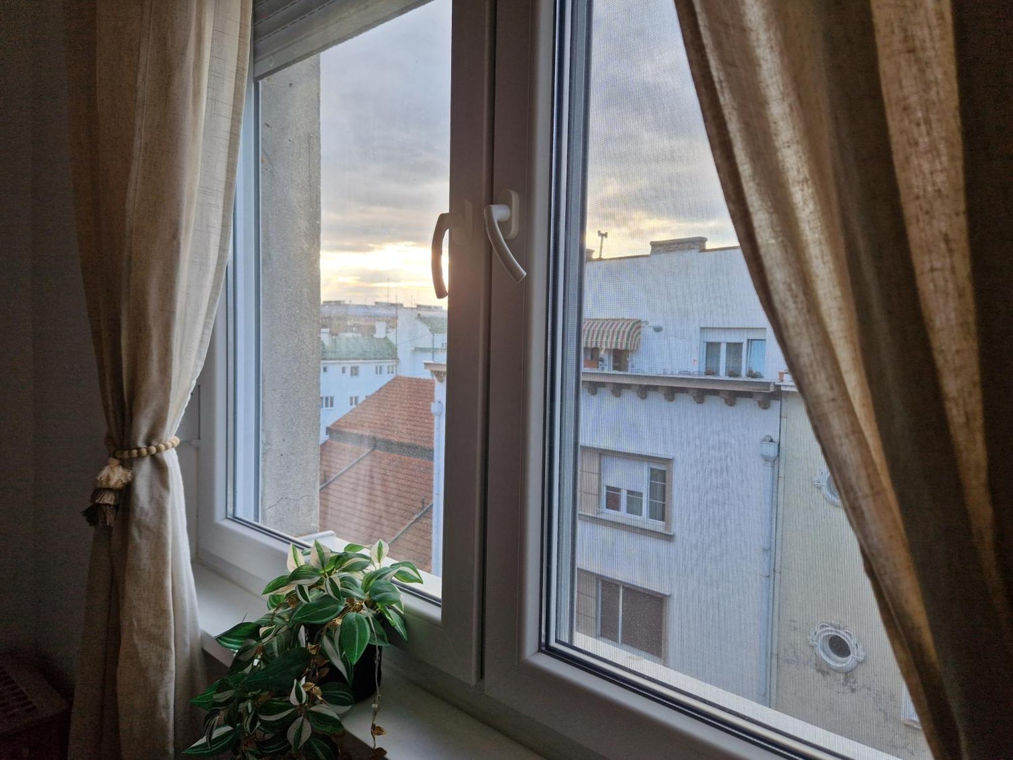 Mateja38